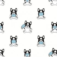 戴口罩法國鬥牛犬