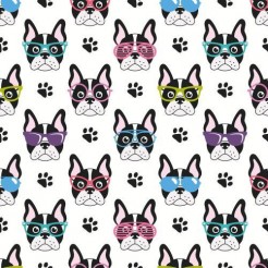 戴眼鏡的法國鬥牛犬