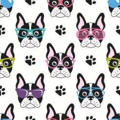 戴眼鏡的法國鬥牛犬